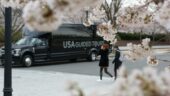 Recognizing the role of nature in experiencing the Cherry Blossom Festival in DC