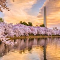 Half-day Tours
