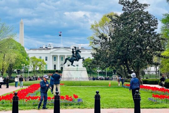 Washington DC 4 Hour Small Group Tour