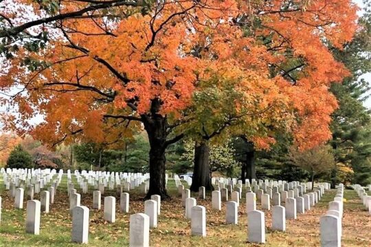 Potomac River Cruise, Arlington Cemetery, and City Bus Tour Combo