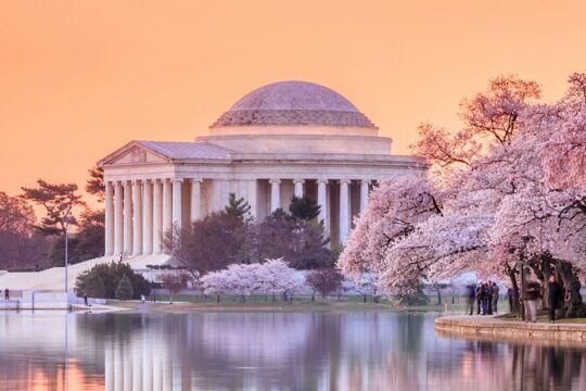 Washington DC Morning Monuments Guided City Tour with 8+ Stops