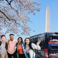 Full-day Tours
