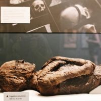 Archaeology Tours