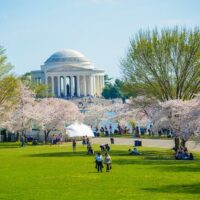 Tours & Sightseeing