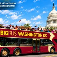Cultural & Theme Tours