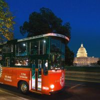 Luxury Tours