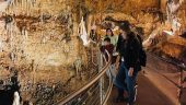 Wonderful Experience at Shenandoah & Luray Caverns!
