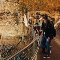 Day Trips & Excursions