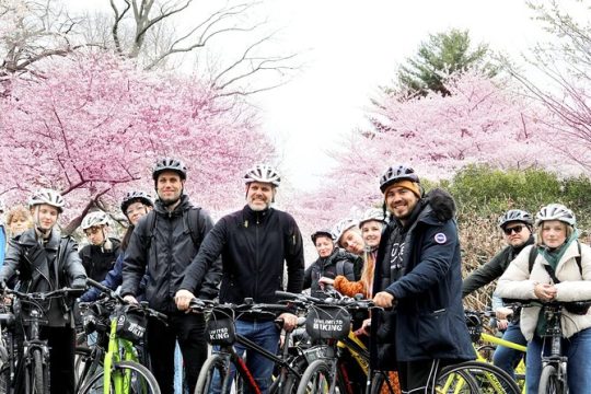 Exclusive: Cherry Blossom Bike Tour in Washington DC