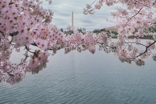 Private DC Guided Bus Tour with Step Off Guide