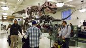 Great FREE museum visit for singles and families