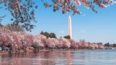 DC evening tour you won’t forget!
