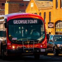 Street Food Tours
