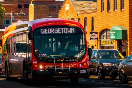 Washington DC Walking Food Tour With Secret Food Tours
