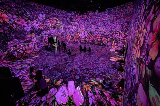 ARTECHOUSE DC Immersive Art Experience with Reserved Entry Time