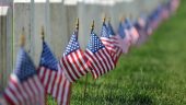 Arlington experience