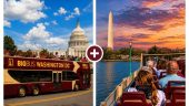 Solo and happy in DC