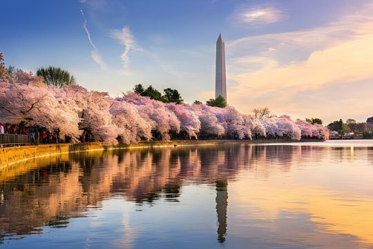 4 Hours Private Tour in Washington DC