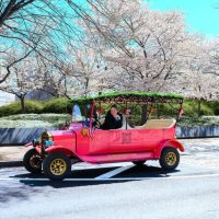 Classic Car Tours
