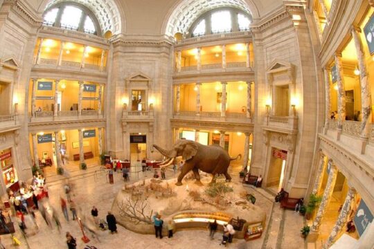 Shared Smithsonian Museum Tour Experience