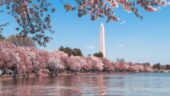 Gorgeous Monuments
