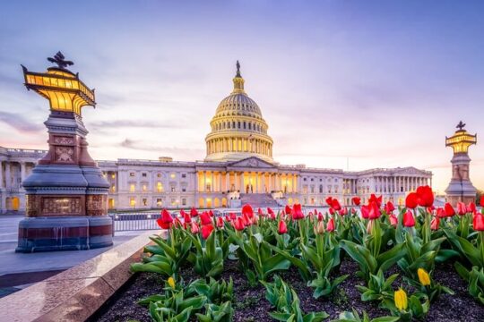 Iconic Film and Movie Locations Half Day Tour in Washington D.C.