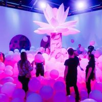 Museum Tickets & Passes